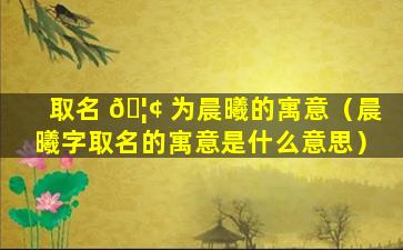 取名 🦢 为晨曦的寓意（晨曦字取名的寓意是什么意思）